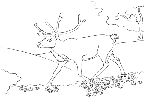 Running Reindeer Coloring Page